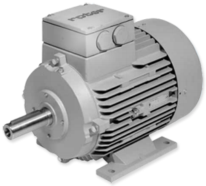 Elektromotor van Honderslo